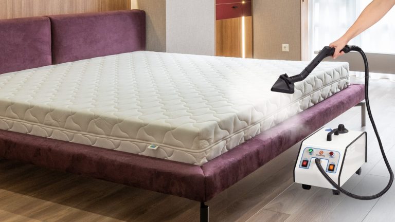 pulce letto