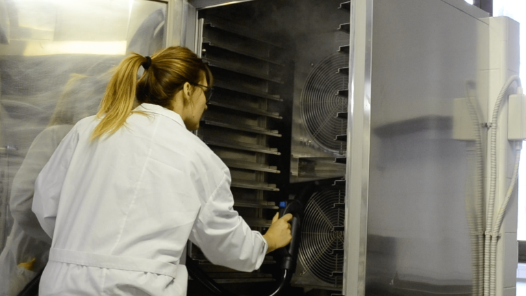 pulizia forno industriale
